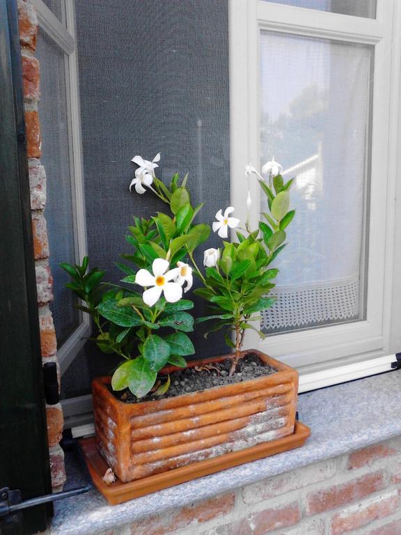 Arziga Bed & Breakfast Chieri Bagian luar foto